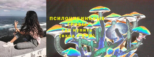 метадон Каменка