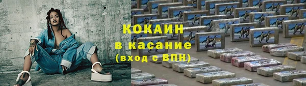 метадон Каменка