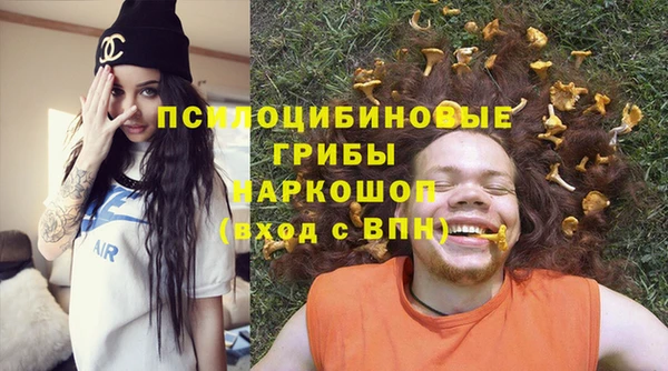 ALPHA PVP Каменск-Шахтинский